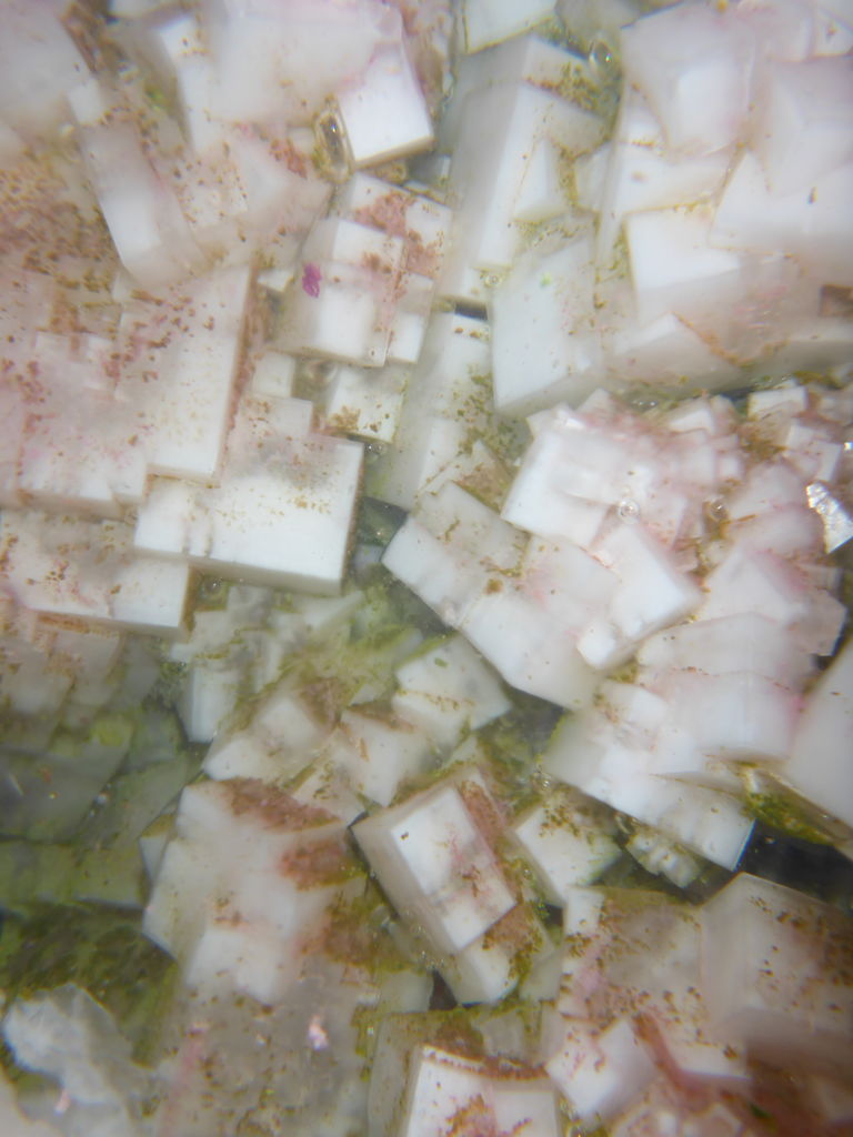 Salzkristalle (im Wasser unter der Salzoberfläche)