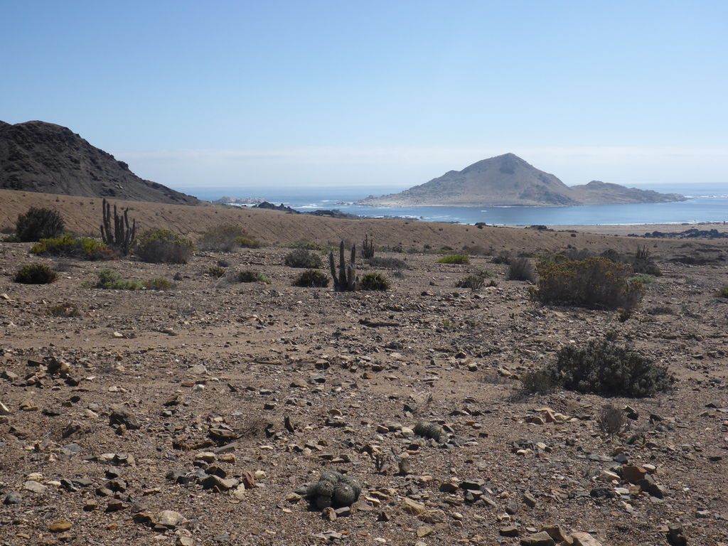 The beautiful national parc Pan de Azucar