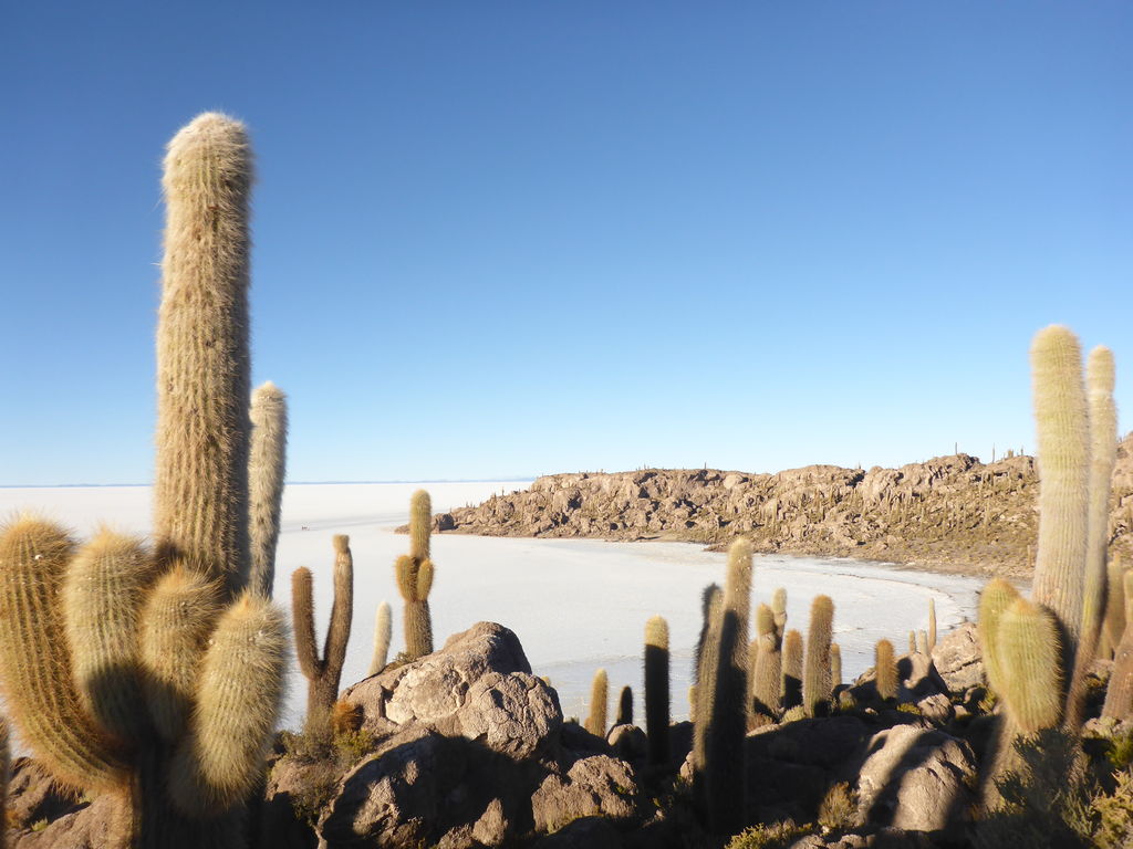 Die Insel Incahuasi