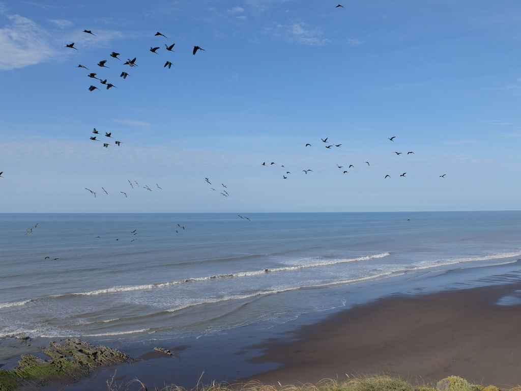 View from cliff line"